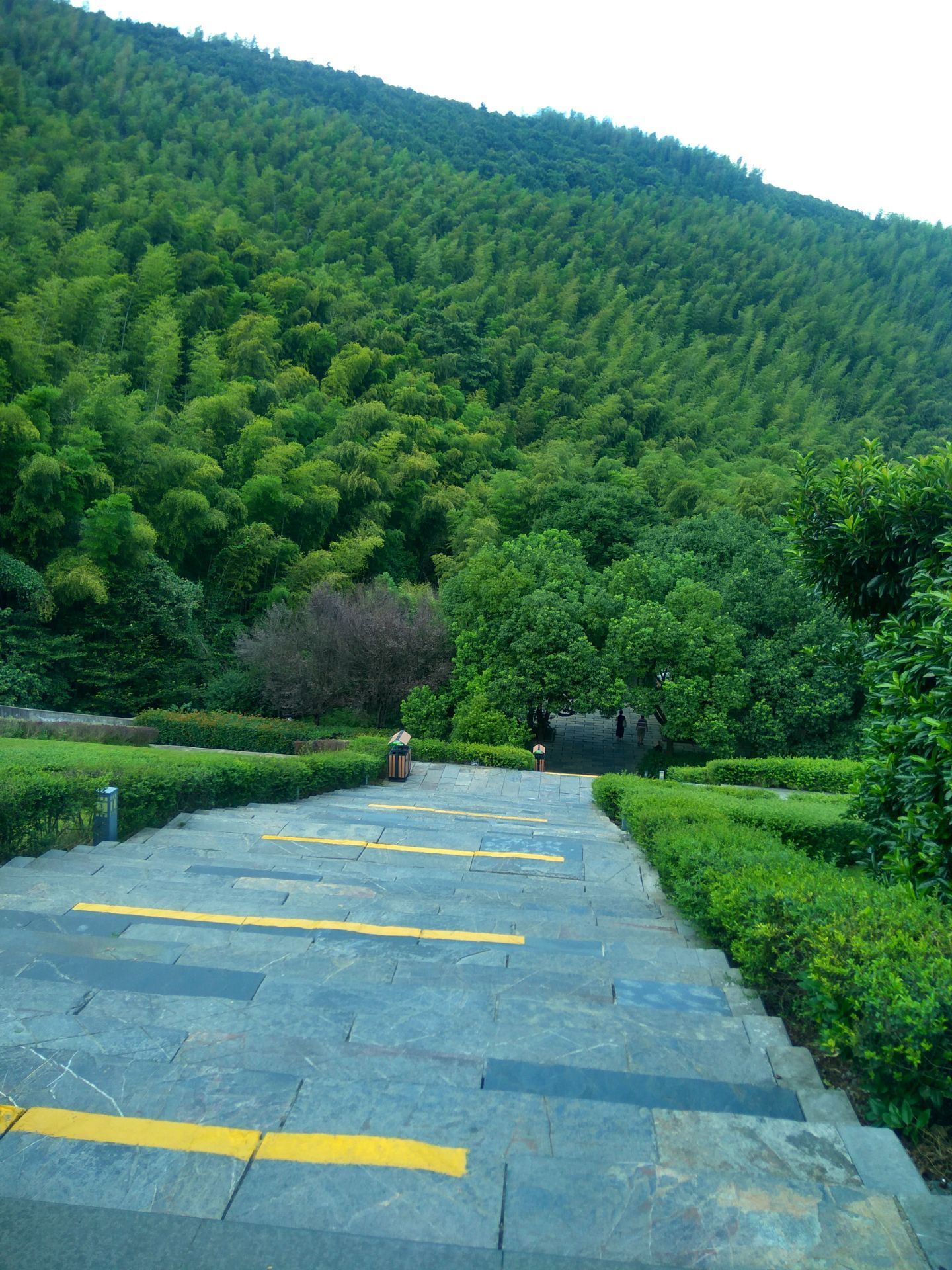 南山竹海