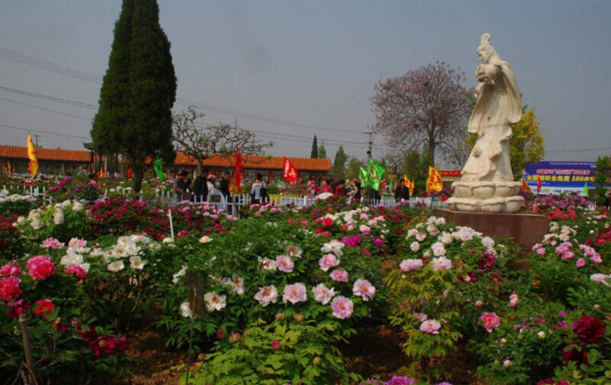 菏泽曹州百花园好玩吗,菏泽曹州百花园景点怎么样