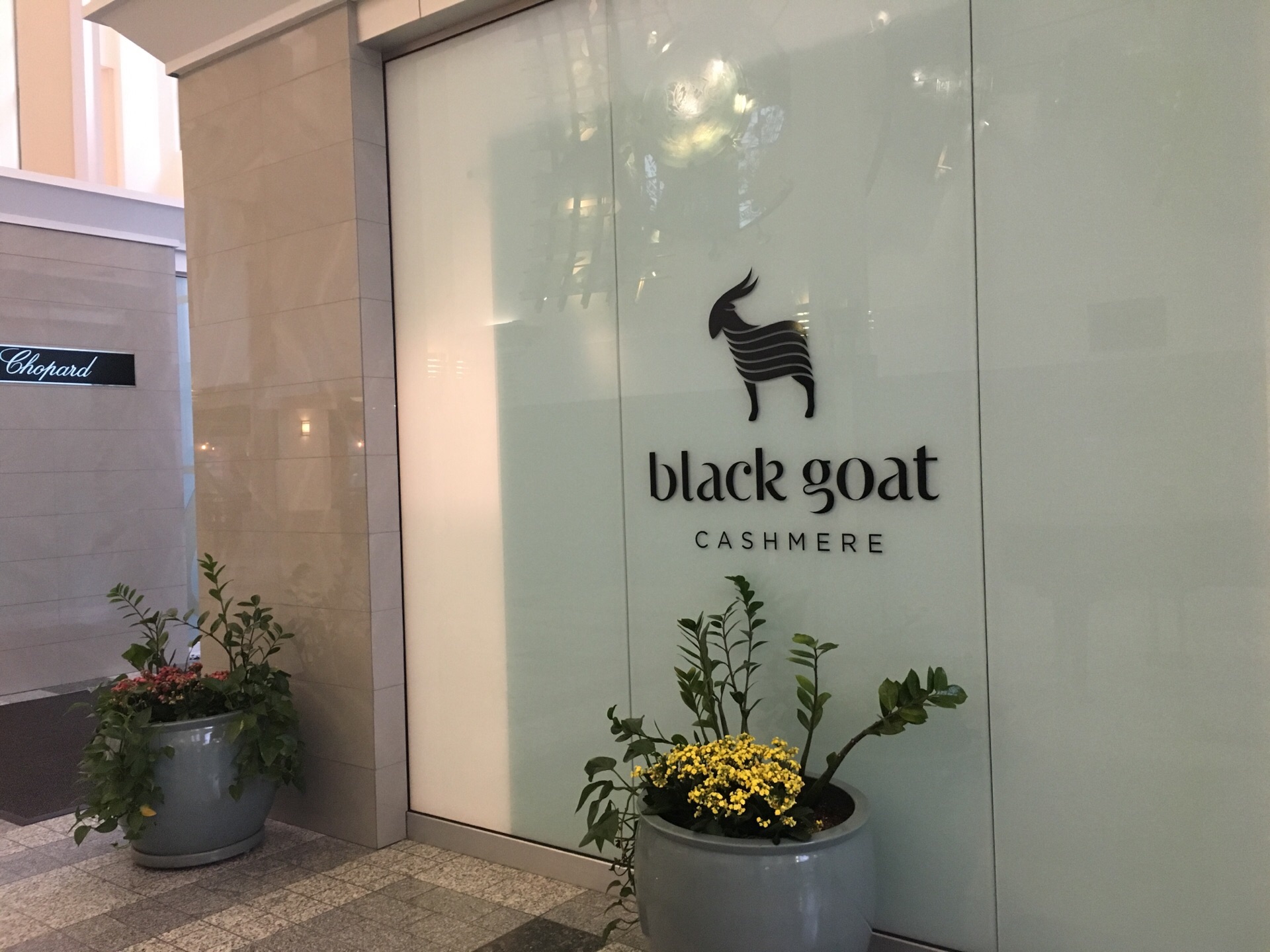black goat cashmere