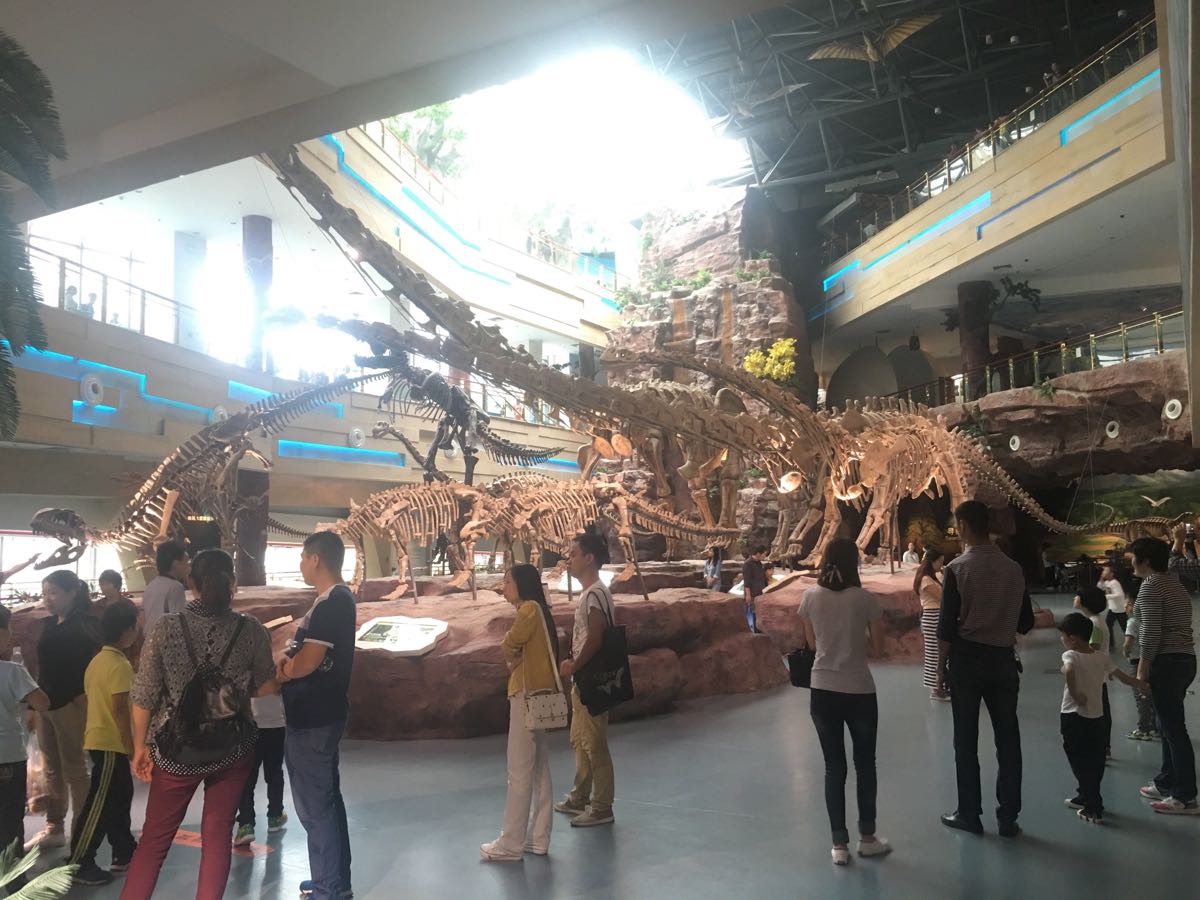 合肥安徽省地质博物馆好玩吗,合肥安徽省地质博物馆景点怎么样_点评