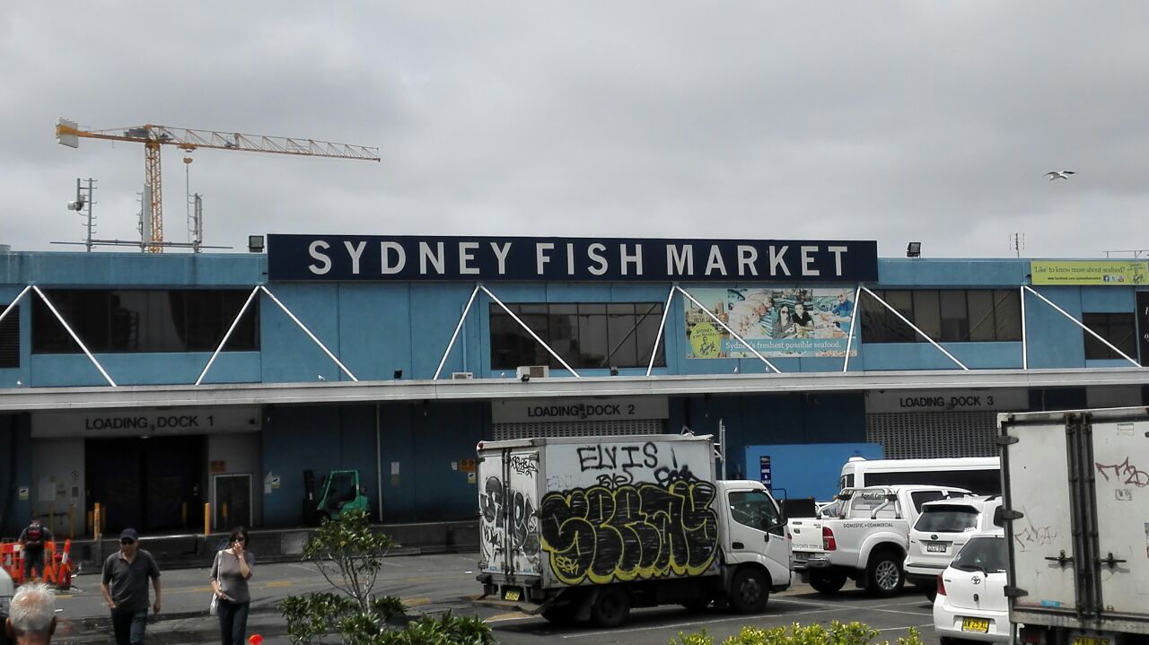 sydney fish market旅游景点攻略图