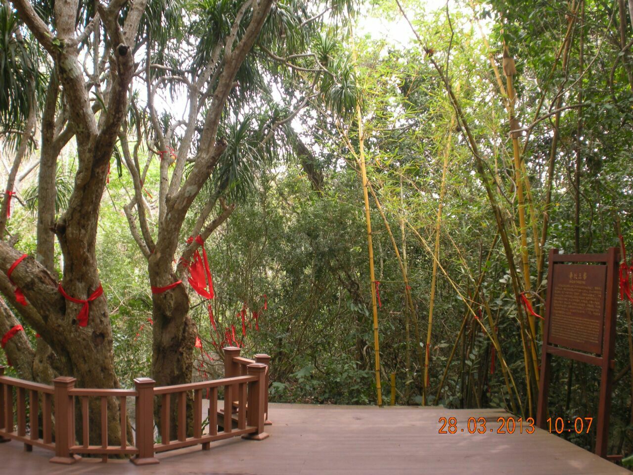 三亚长寿谷攻略,三亚长寿谷门票/游玩攻略/地址/图片
