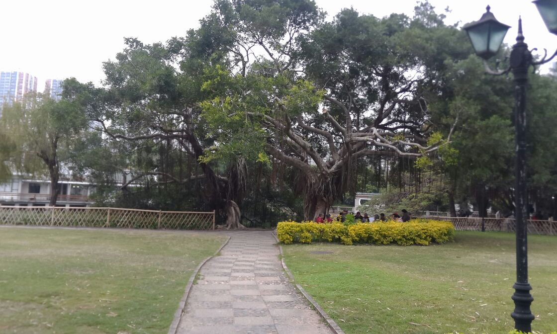 中山公园旅游景点攻略图