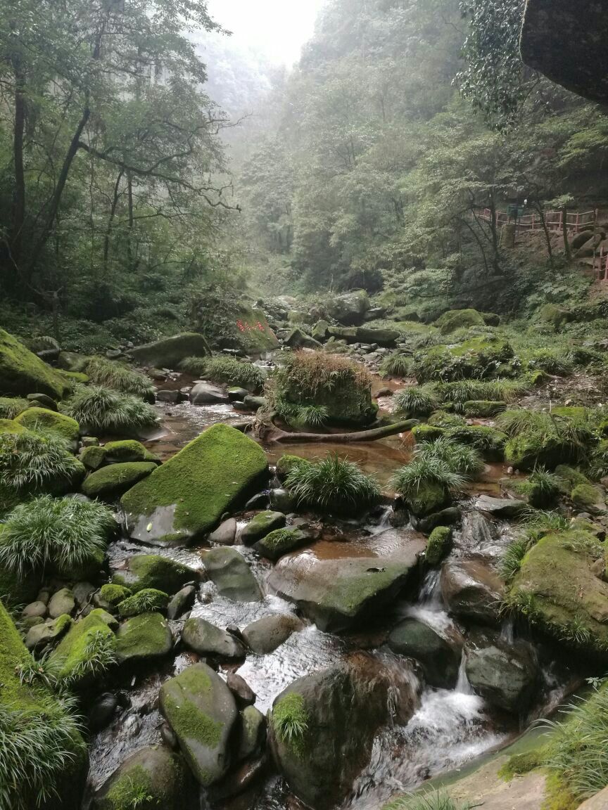 碧峰峡旅游景点攻略图