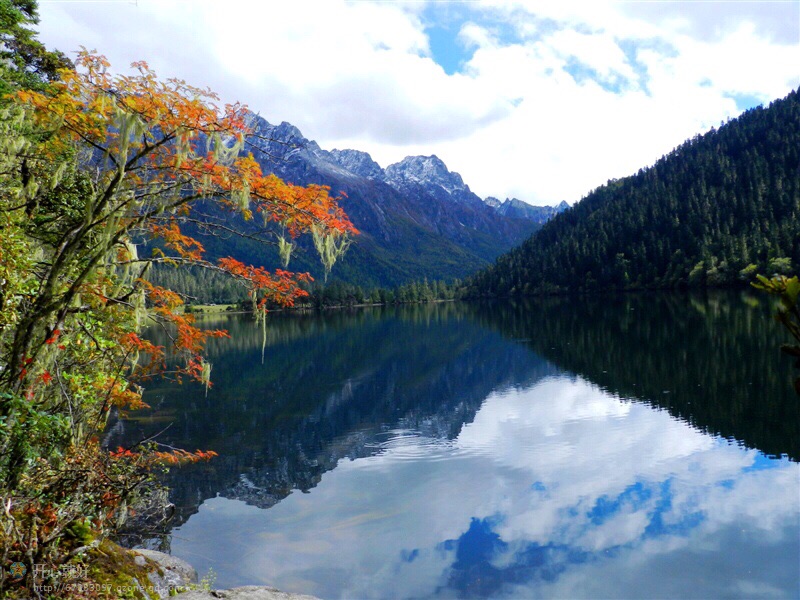 伍须海