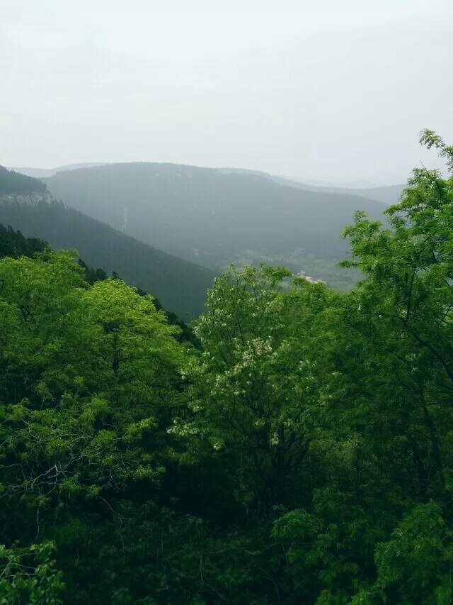 淄博原山国家森林公园攻略,淄博原山国家森林公园门票