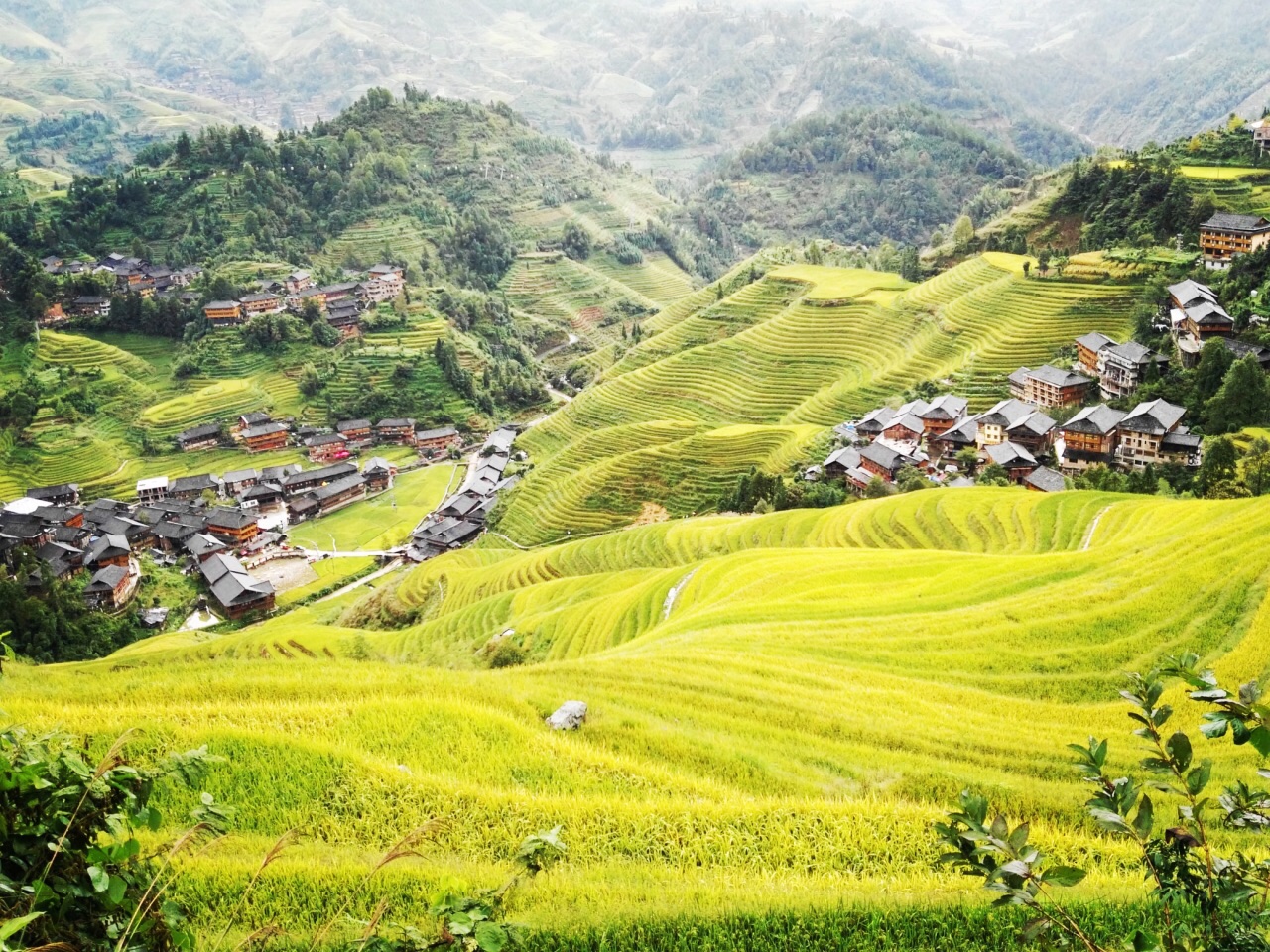 金坑梯田