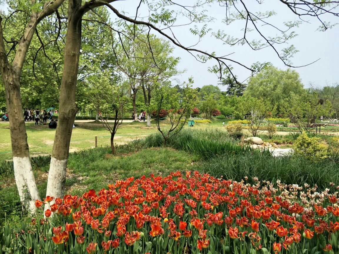 合肥合肥植物园好玩吗,合肥合肥植物园景点怎么样