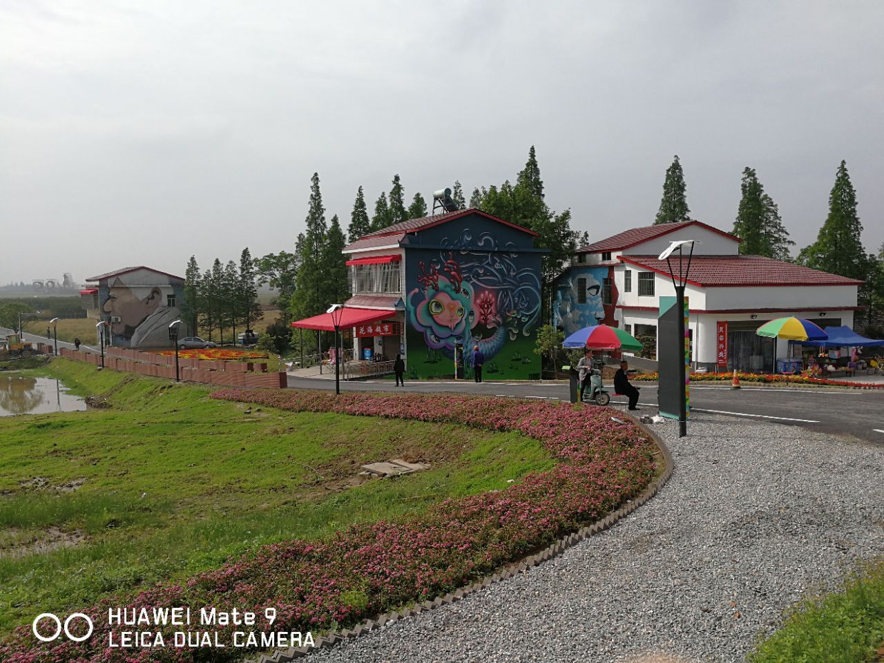 罗文花海涂鸦村