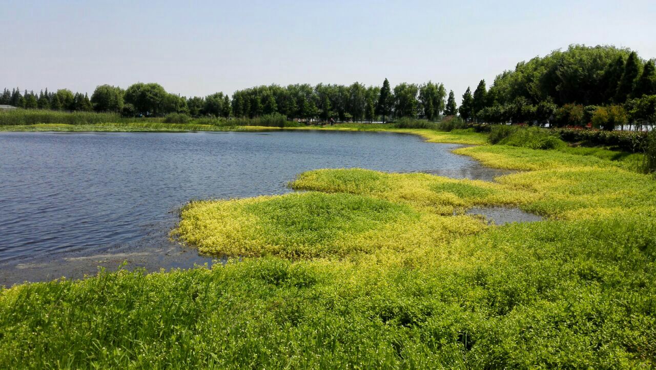 青西郊野公园