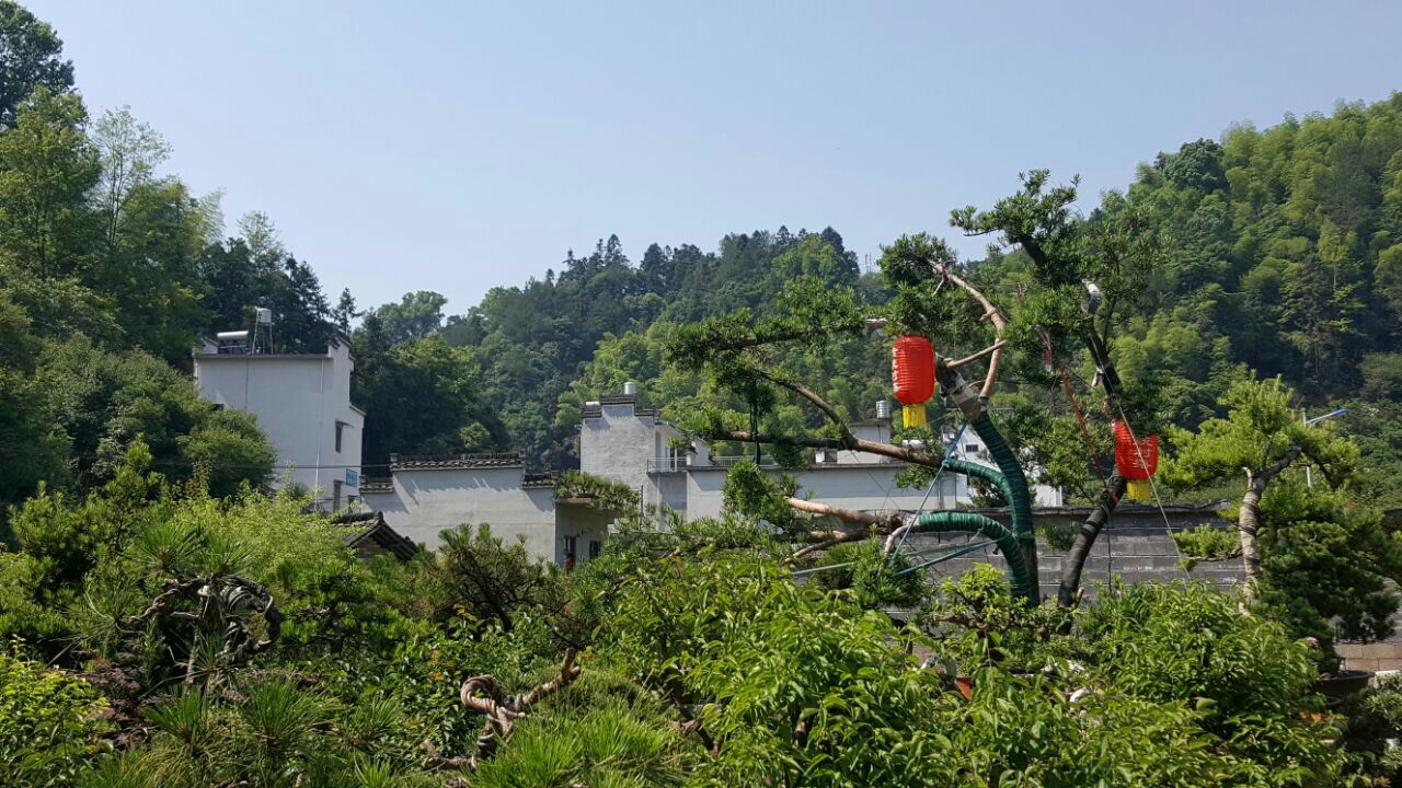 卖花渔村