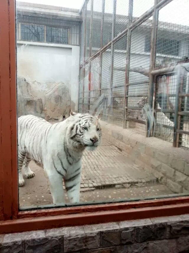 济南动物园