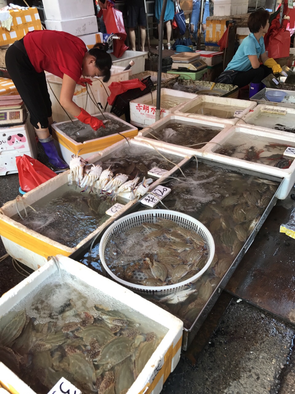 厦门第八海鲜市场攻略,厦门第八海鲜市场门票/游玩