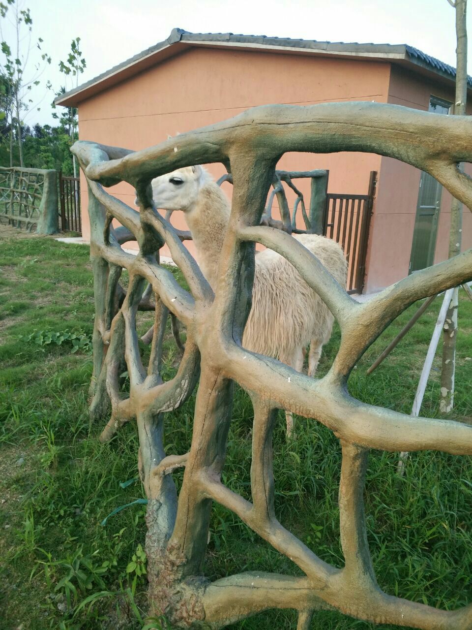 宿州野生动物园