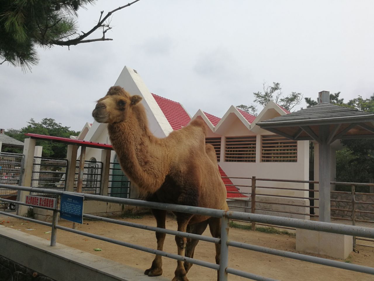 2019青岛动物园_旅游攻略_门票_地址_游记点评,青岛旅游景点推荐 - 去