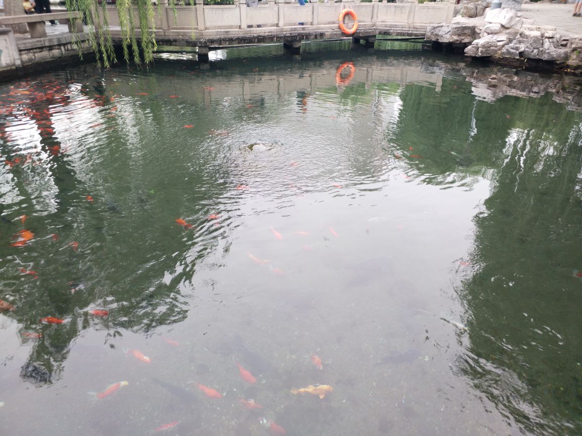 螺丝泉