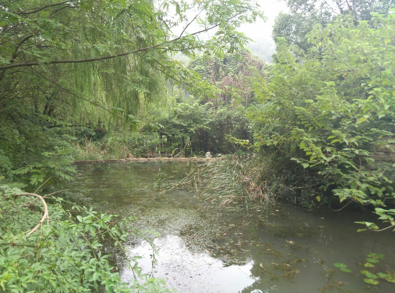 龙泓涧景区