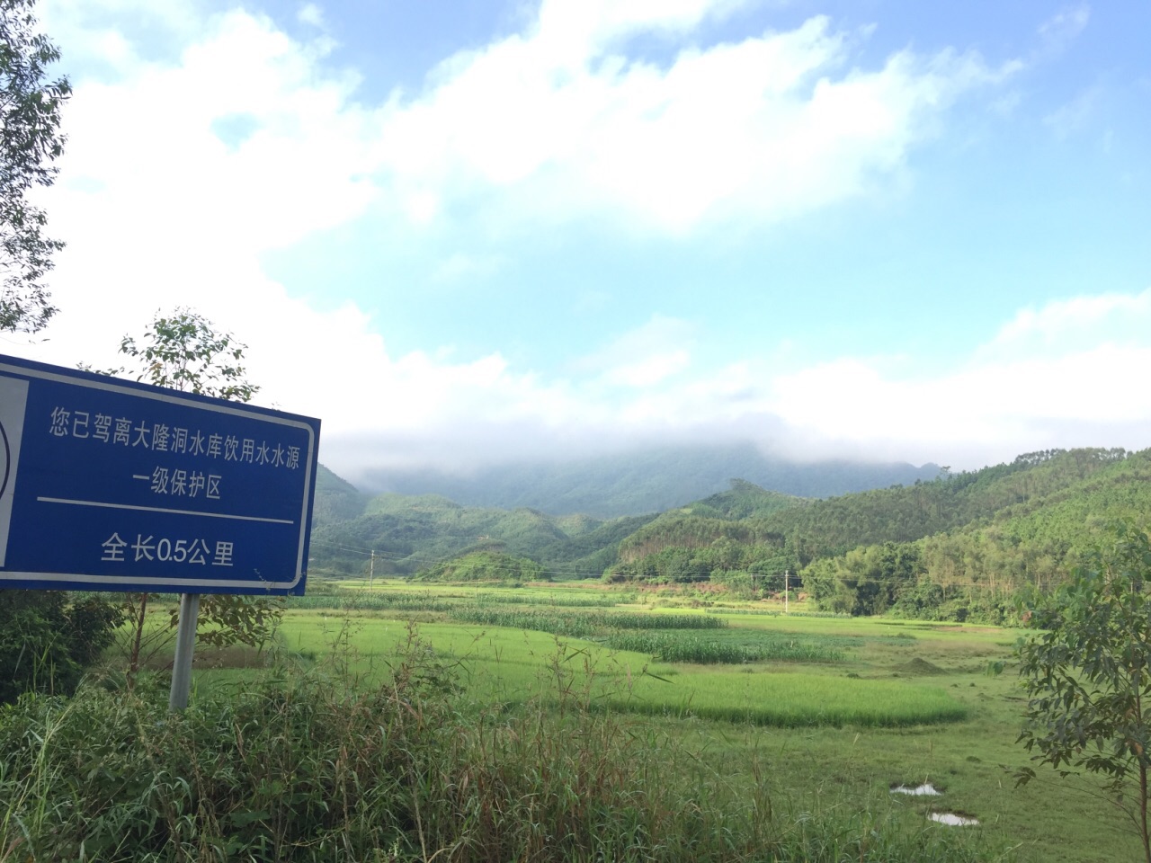 寻皇大草原