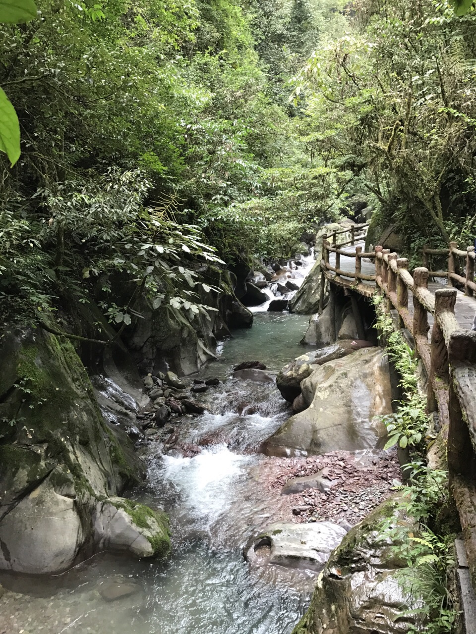 亚木沟风景区