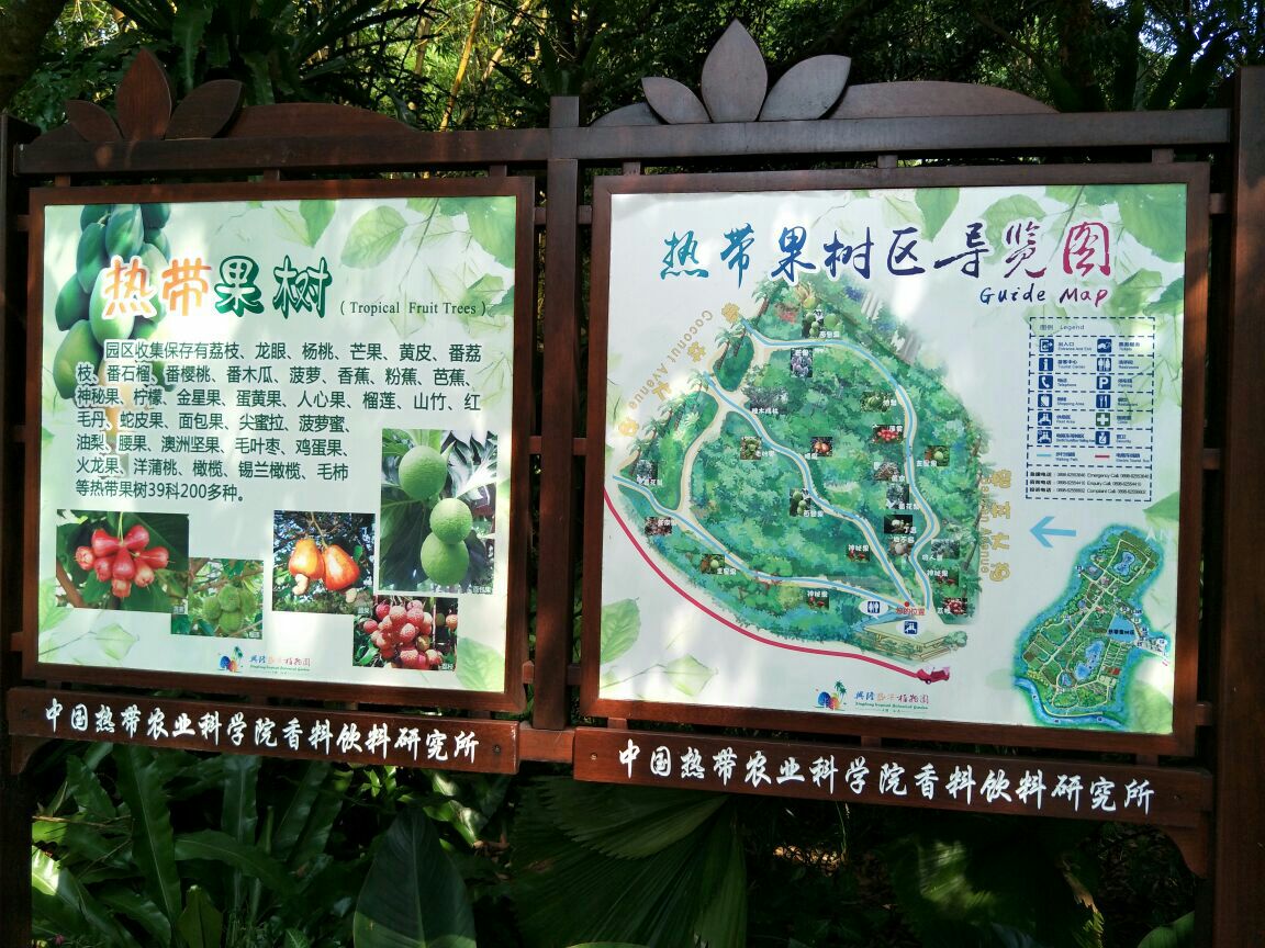 兴隆热带植物园