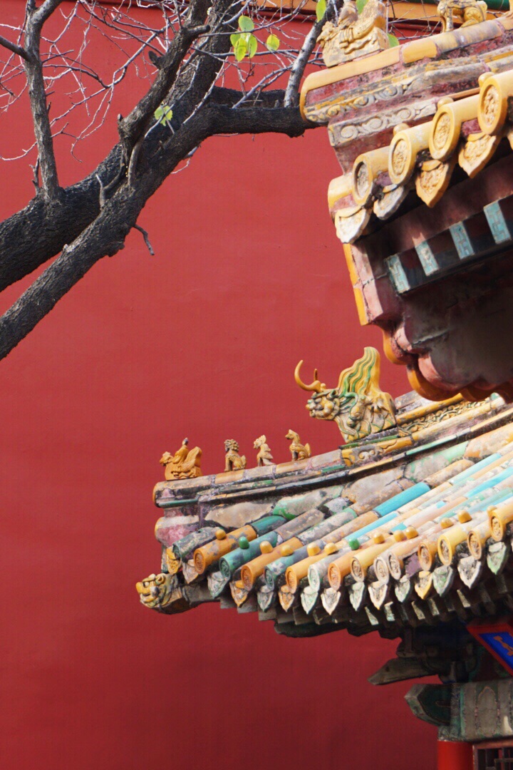 北京故宫好玩吗,北京故宫景点怎么样_点评_评价【携程