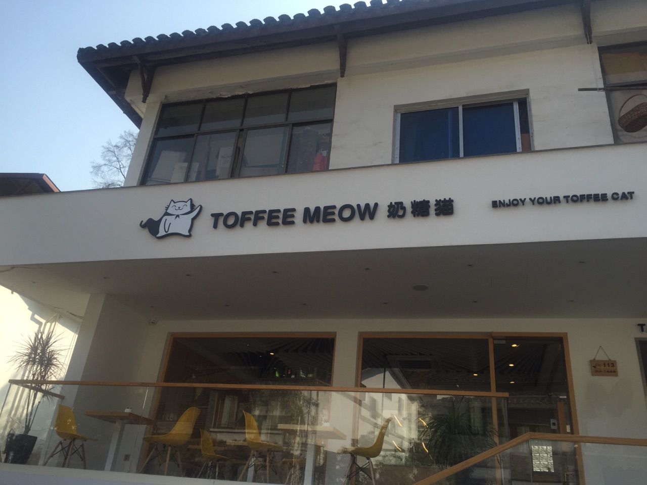 toffee meow奶糖猫