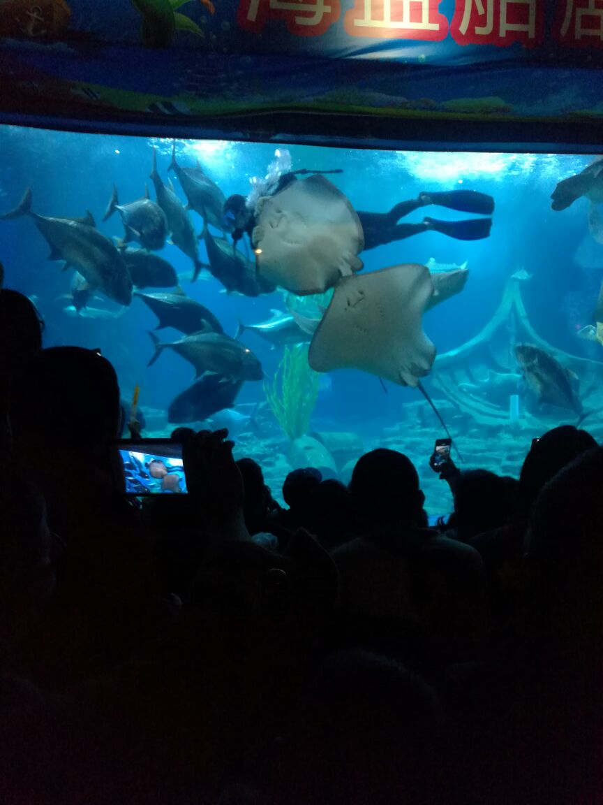 武汉东湖海洋世界