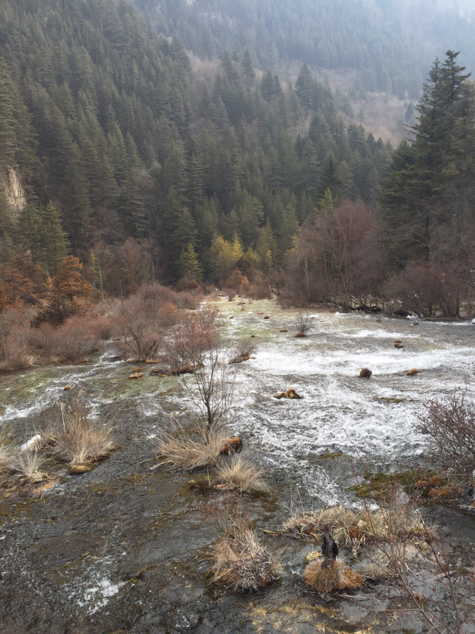 珍珠滩