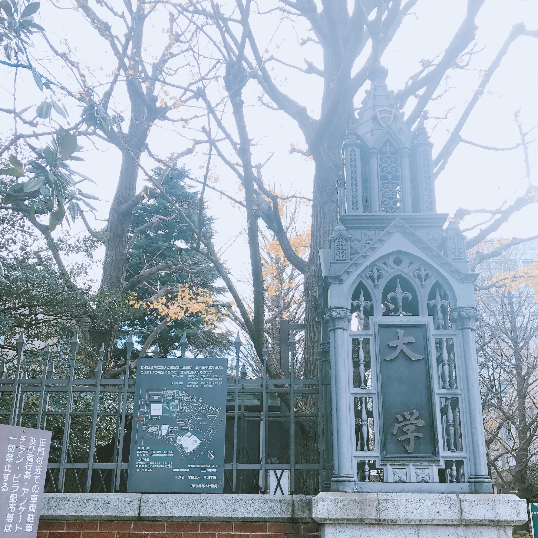 青山学院大学