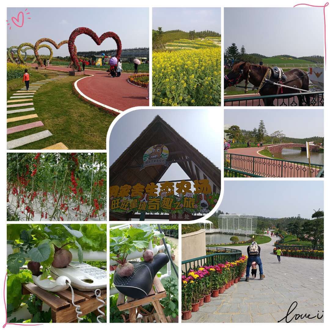 中山迪茵湖生态旅游度假区好玩吗,中山迪茵湖生态旅游