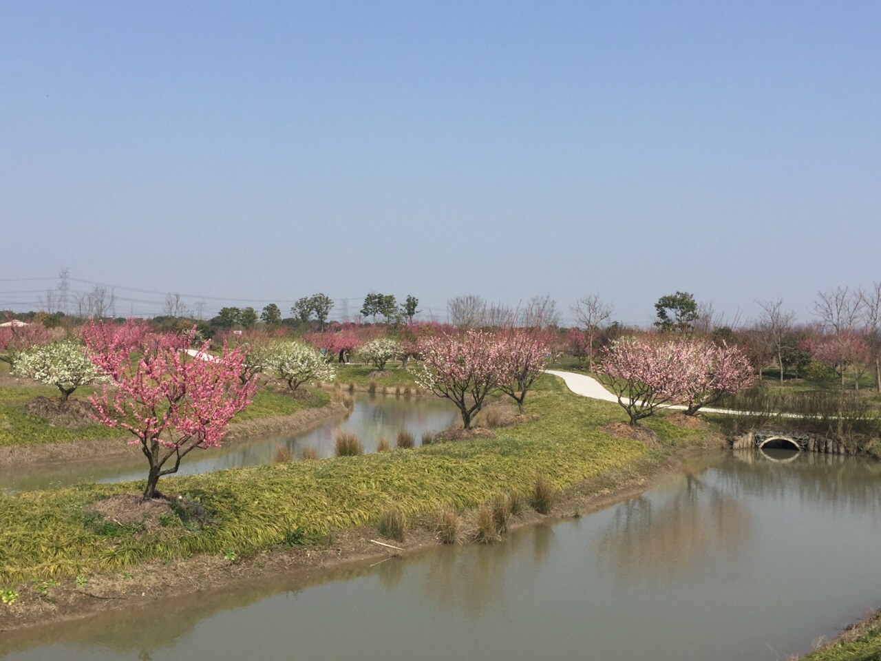 花开海上生态园