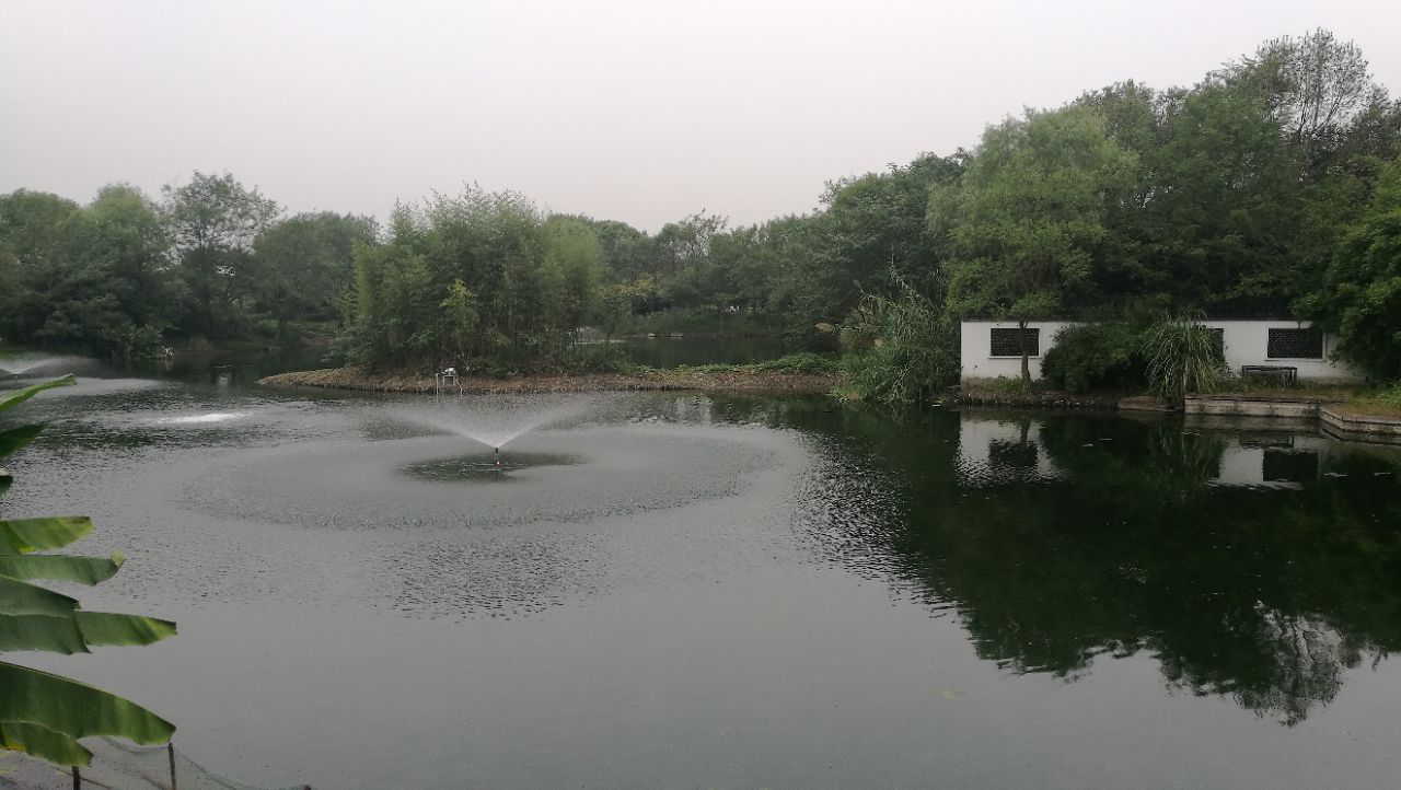 西溪湿地洪园景区