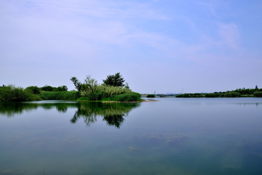 贡湖湾湿地公园