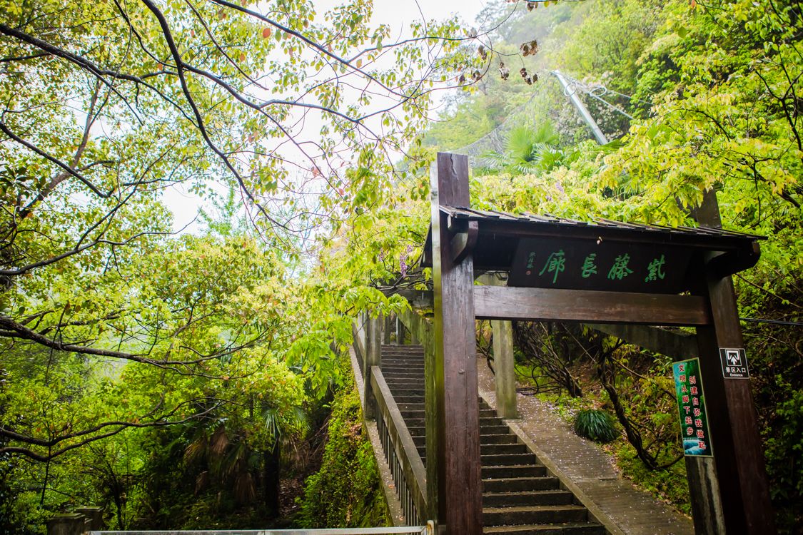 五泄风景区