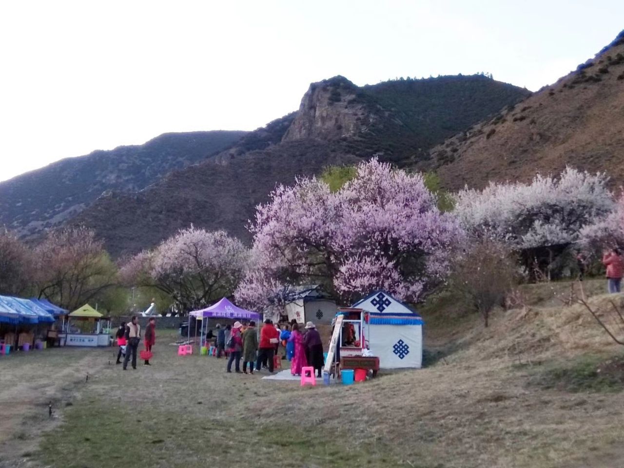 桃花沟,林芝桃花沟攻略/地址/图片/门票【携程攻略】