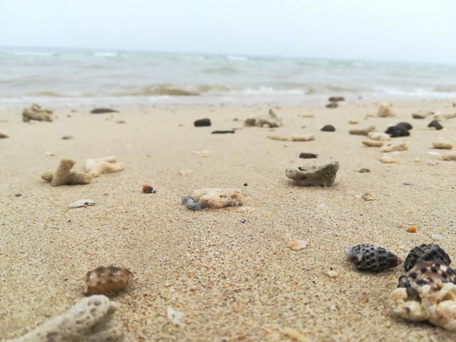 沙滩上的贝壳,在海浪声中安静的躺在沙子里