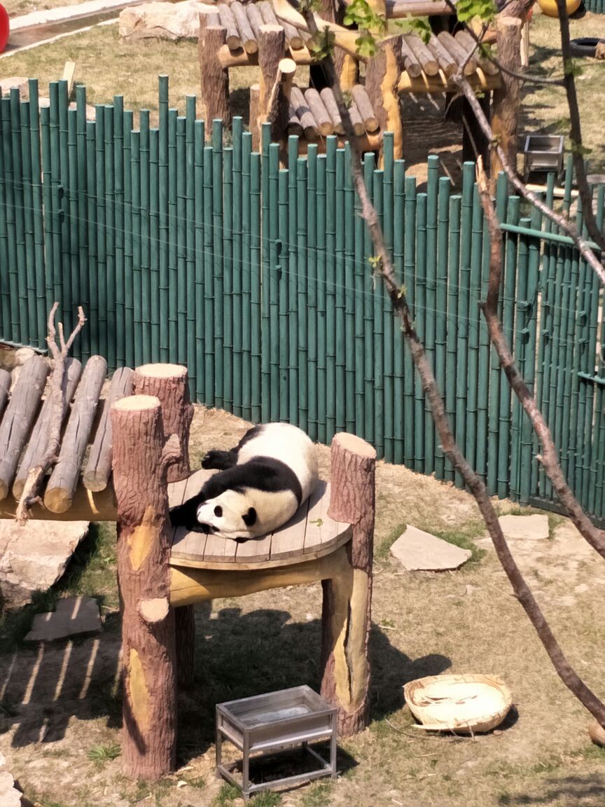 沈阳森林动物园