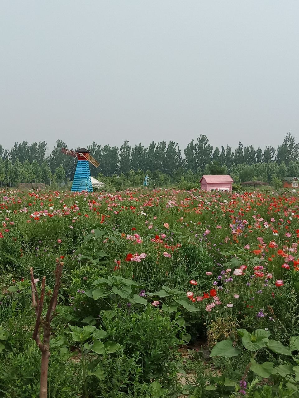 通州区花仙子万花园好玩吗,通州区花仙子万花园景点怎么样_点评_评价