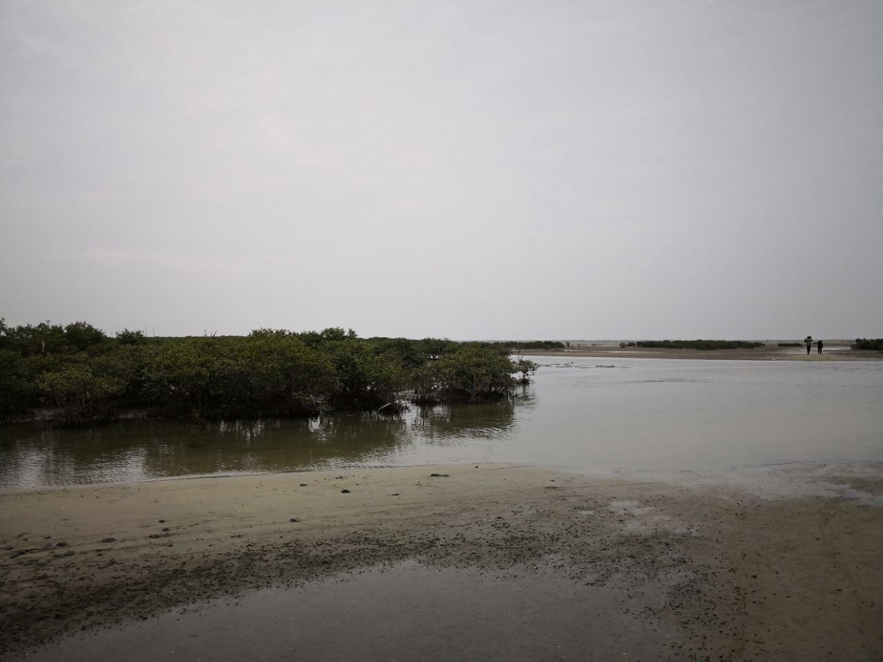 北海红树林天天赶海好玩吗,北海红树林天天赶海景点样