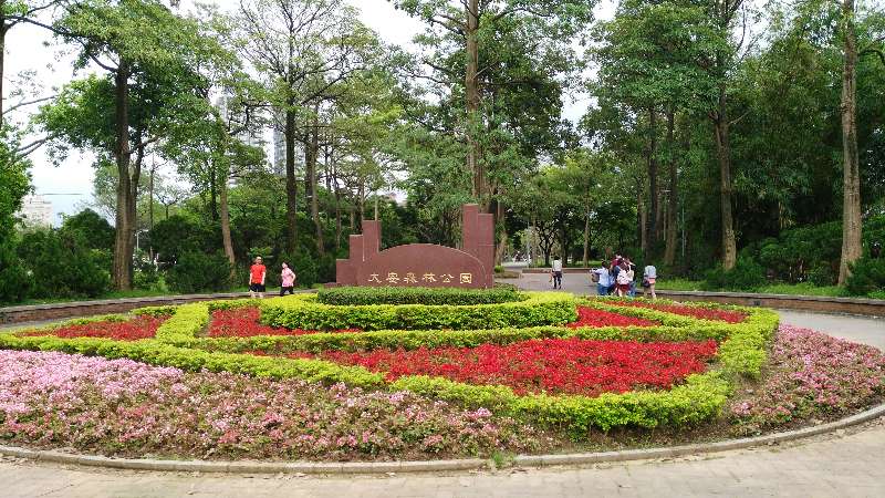 台北大安森林公园好玩吗,台北大安森林公园景点怎么样