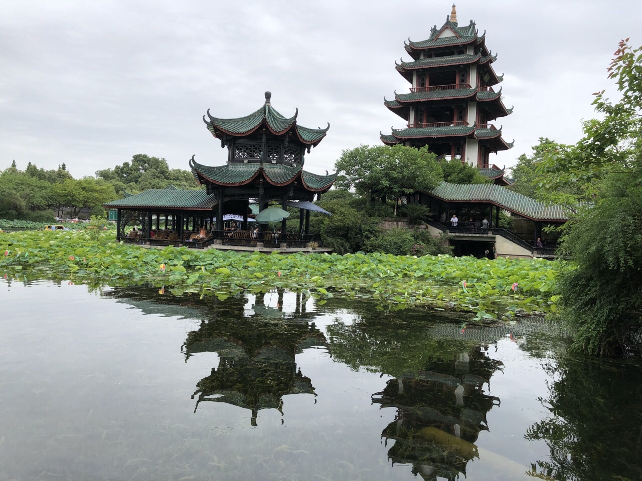 桂湖公园