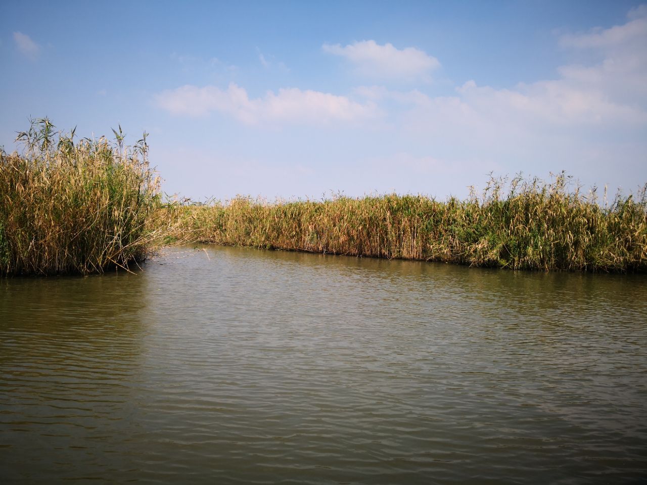 德清下渚湖湿地公园