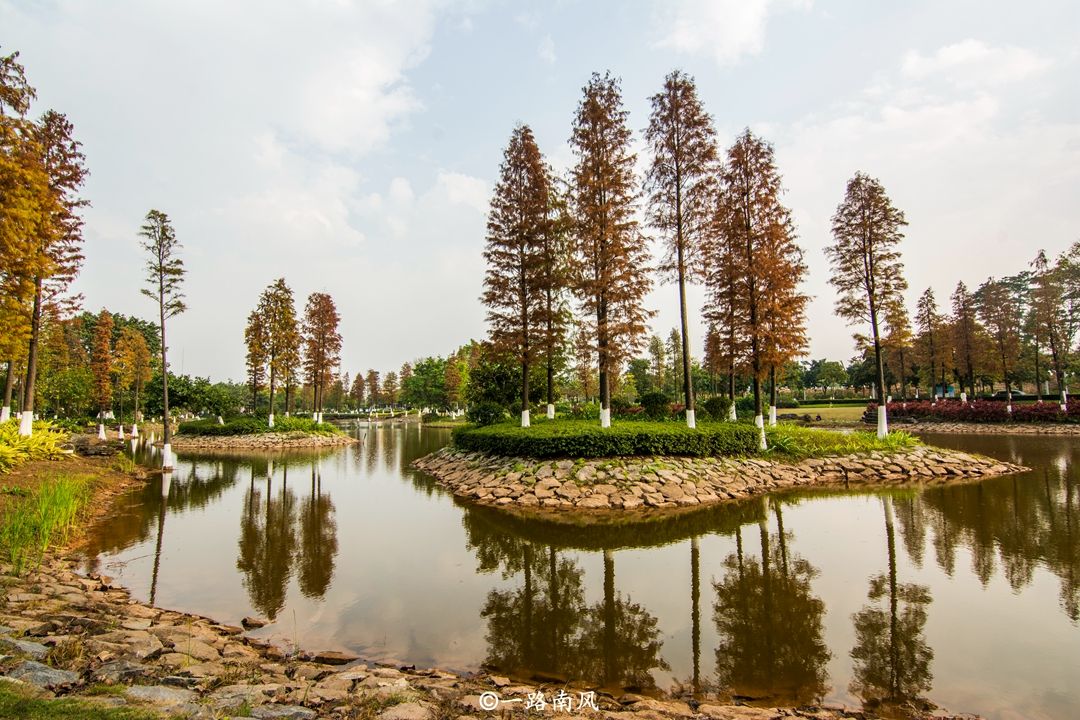 生物岛靠近广州地铁官洲站,远离闹市,绿植茂密,空气质量较好,环岛骑行