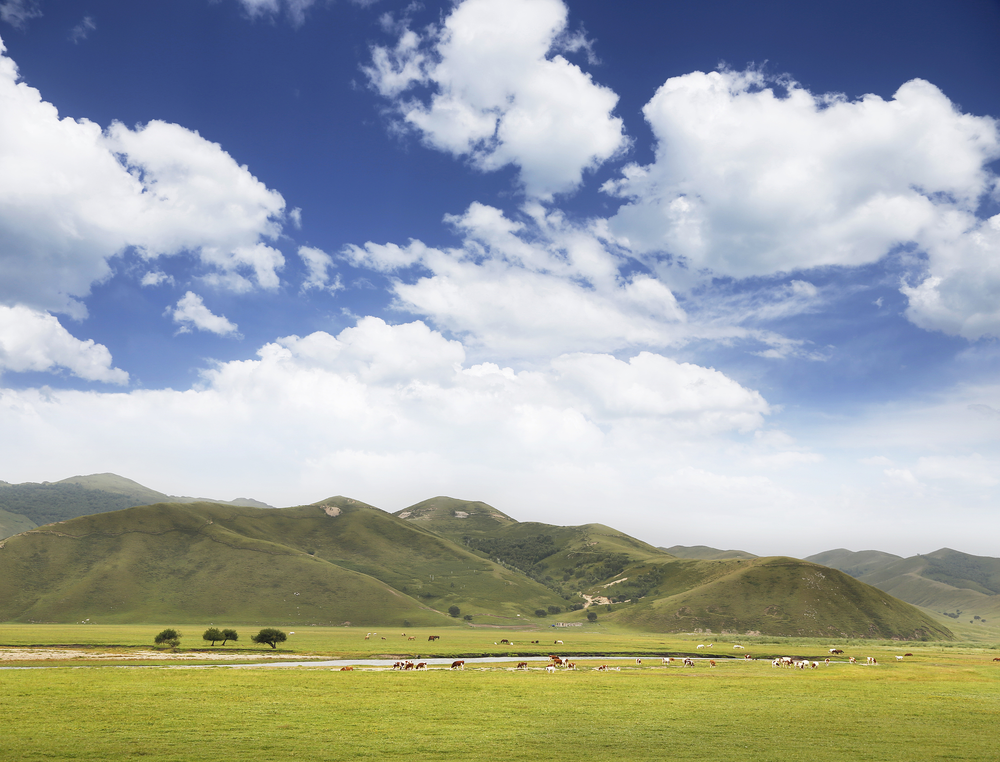 科尔沁草原旅游景点图片