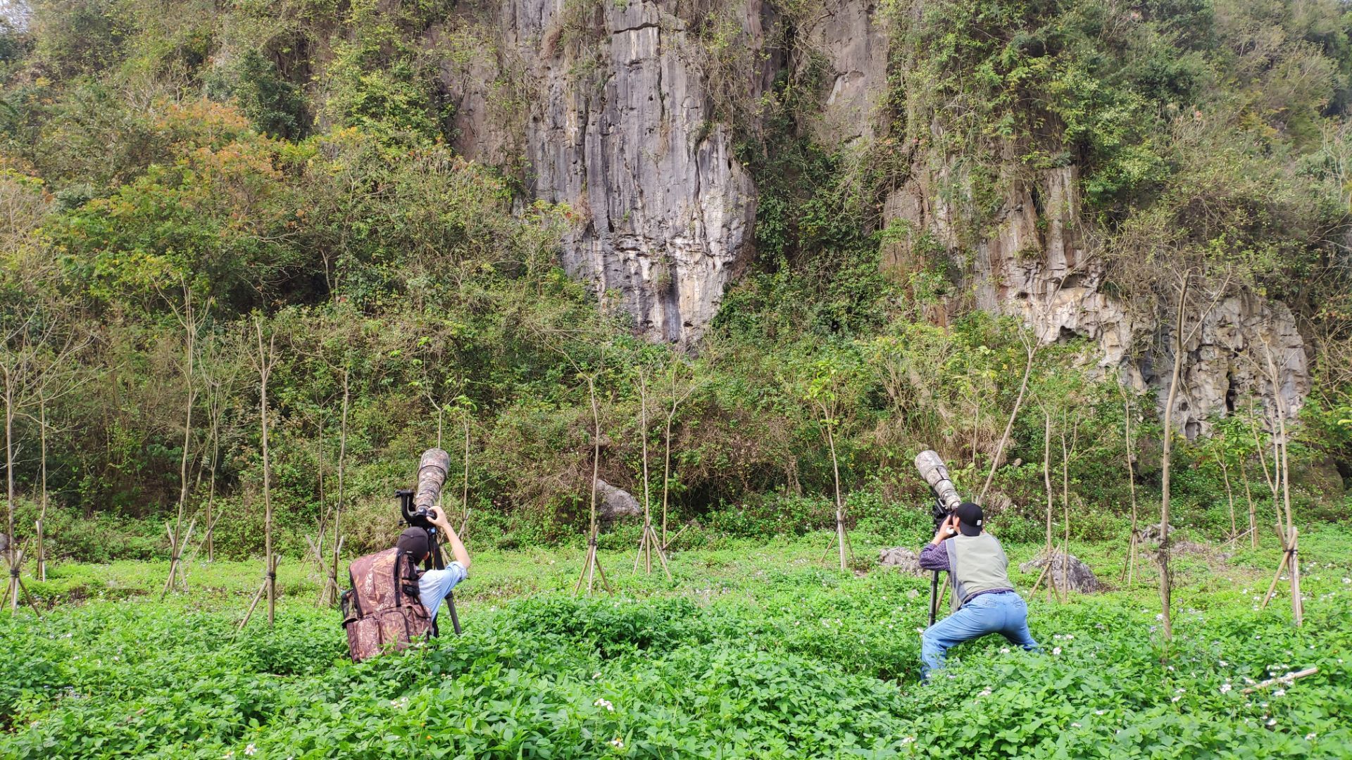 广西崇左白头叶猴自然保护区(板利片区)生态旅游区旅游景点攻略图