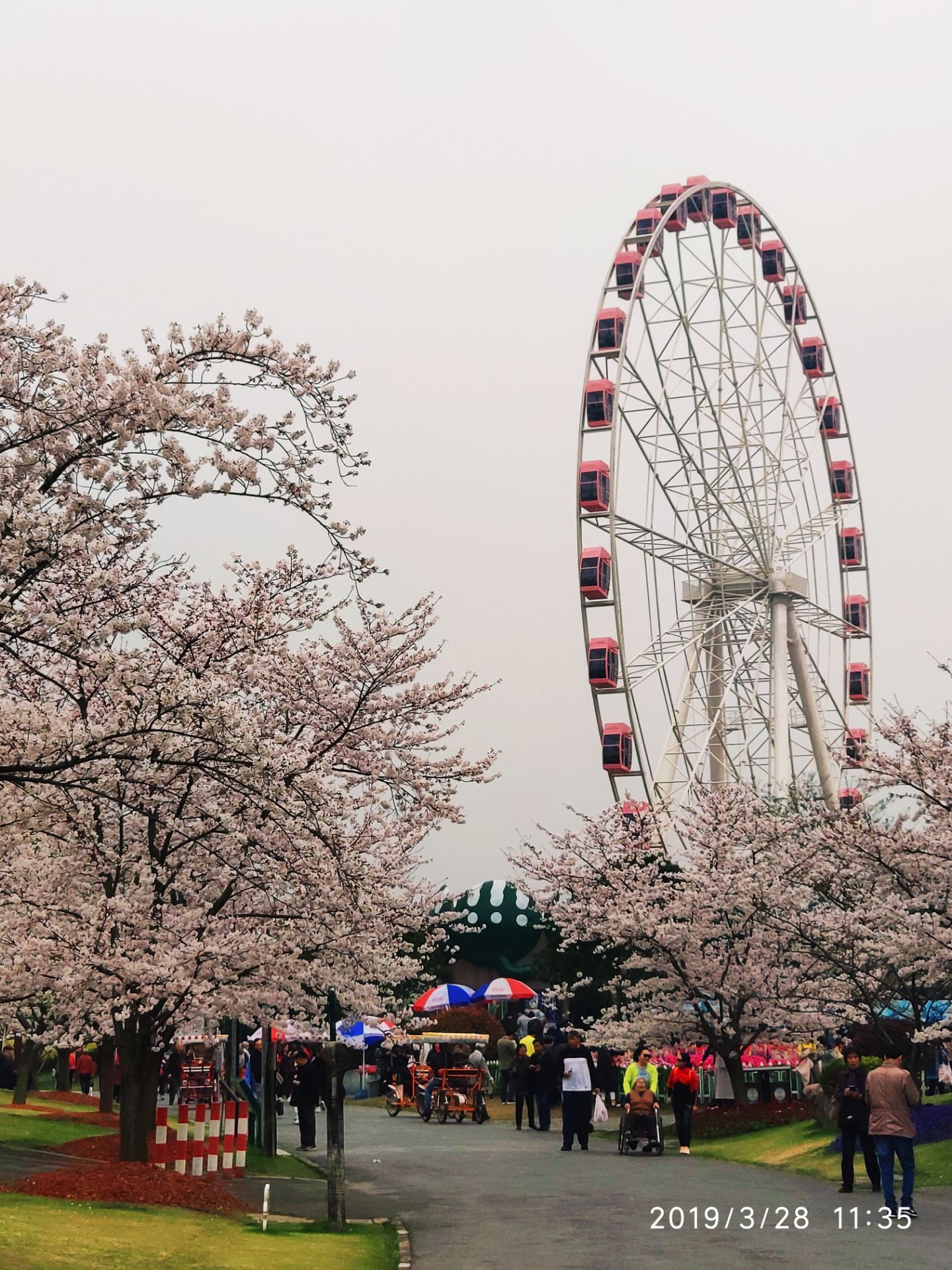 2019顾村公园_旅游攻略_门票_地址_游记点评,上海旅游景点推荐 - 去