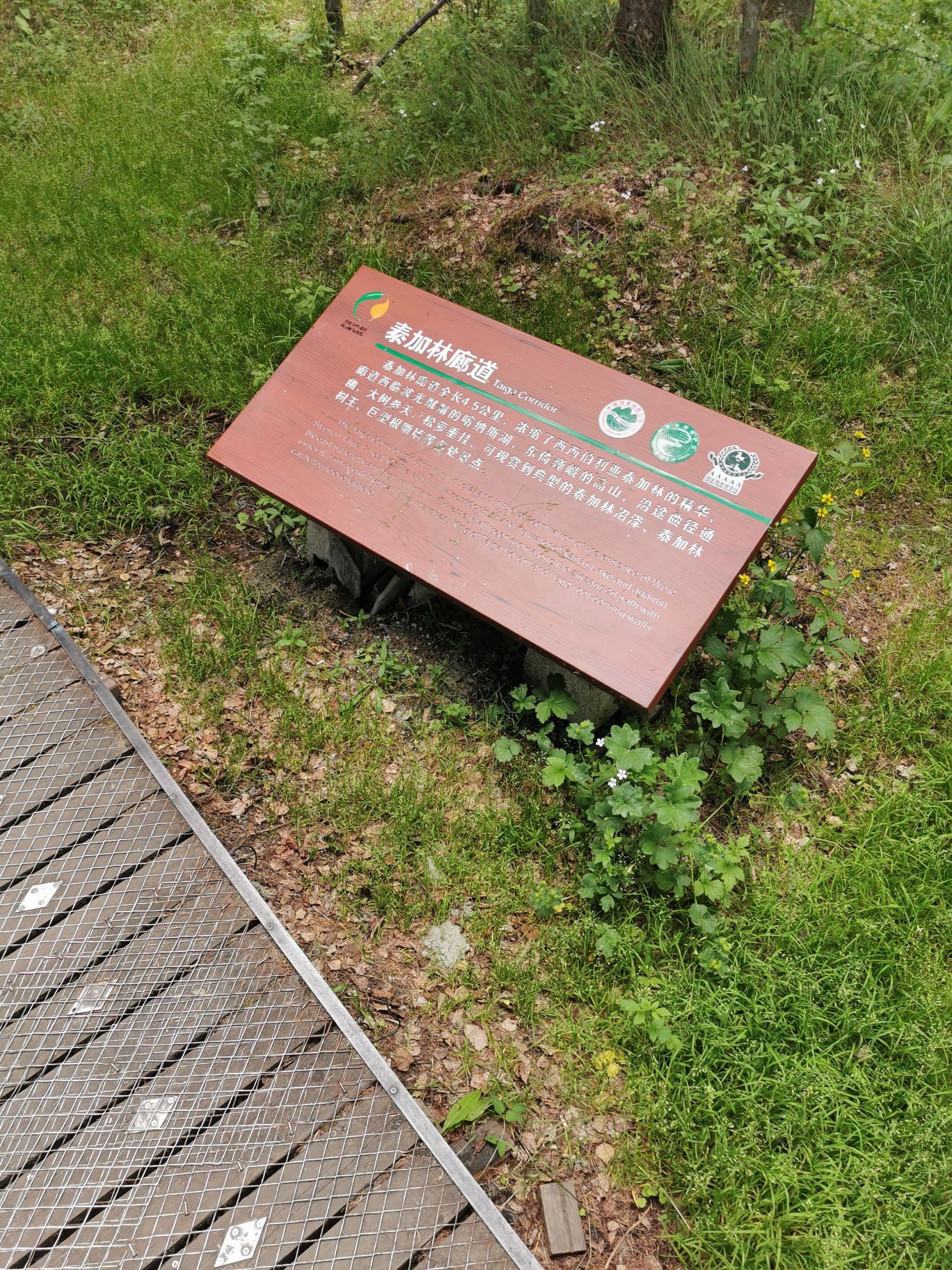 喀纳斯泰加林廊道好玩吗,喀纳斯泰加林廊道景点怎么样_点评_评价【携