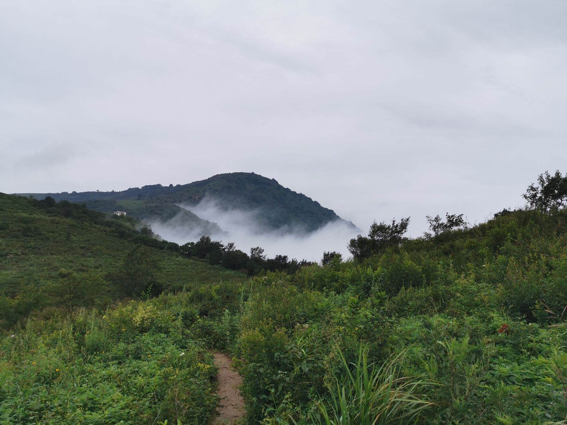 阳台山自然风景区旅游景点攻略图