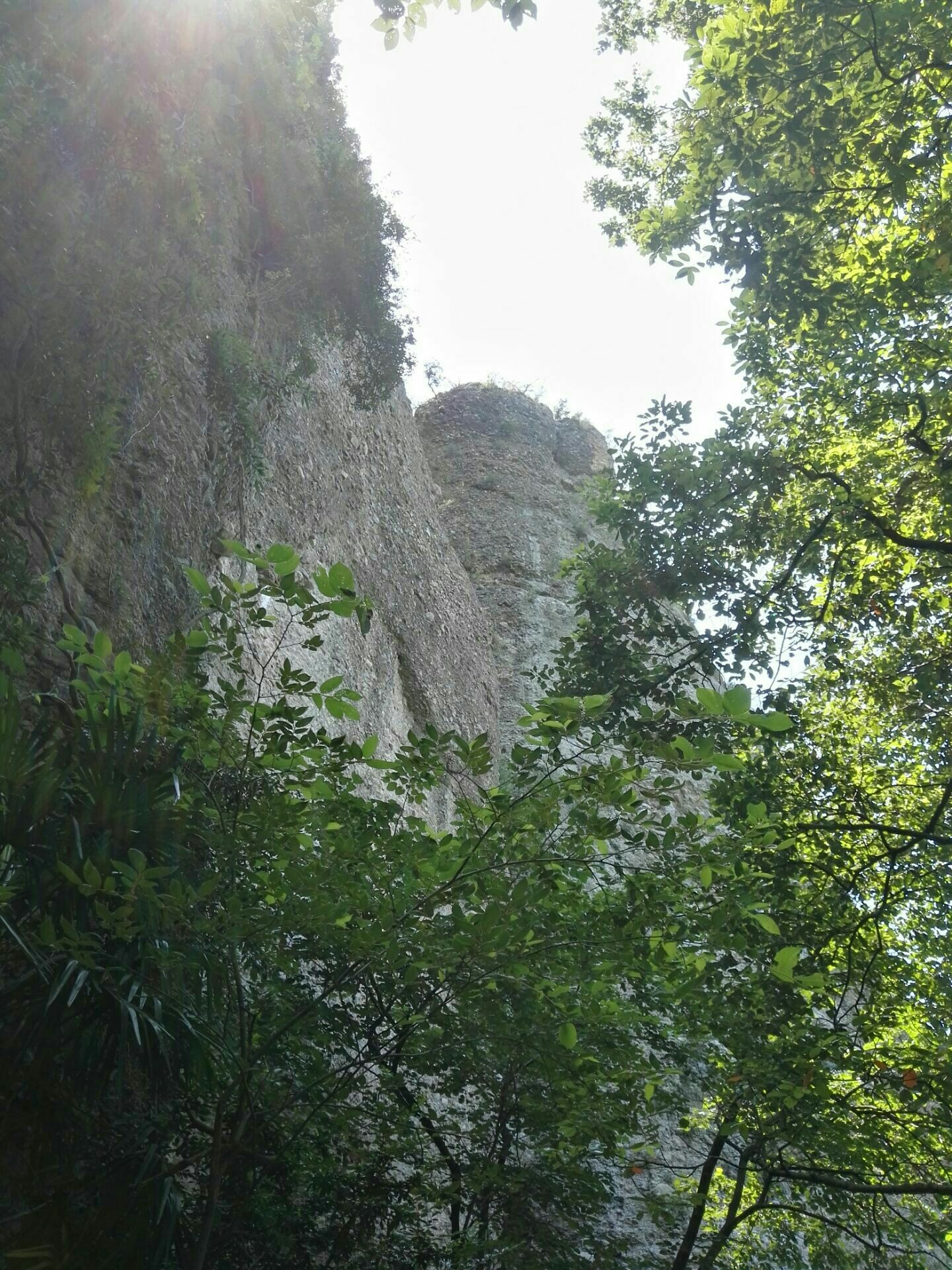 窦圌山景区门票,窦圌山景区门票价格,窦圌山景区门票