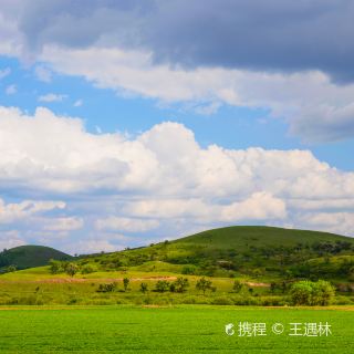 御道口草原森林风景区    分 11条点评 森林 自然风光 距景点 100m